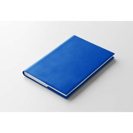Agenda infirmière semainier bleu roi