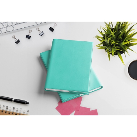 4 volumes trimestriels agenda journalier infirmière libérale 2027 vert d'eau