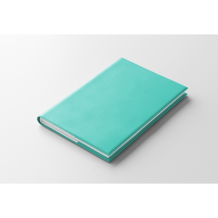 Agenda infirmière journalier vert d'eau