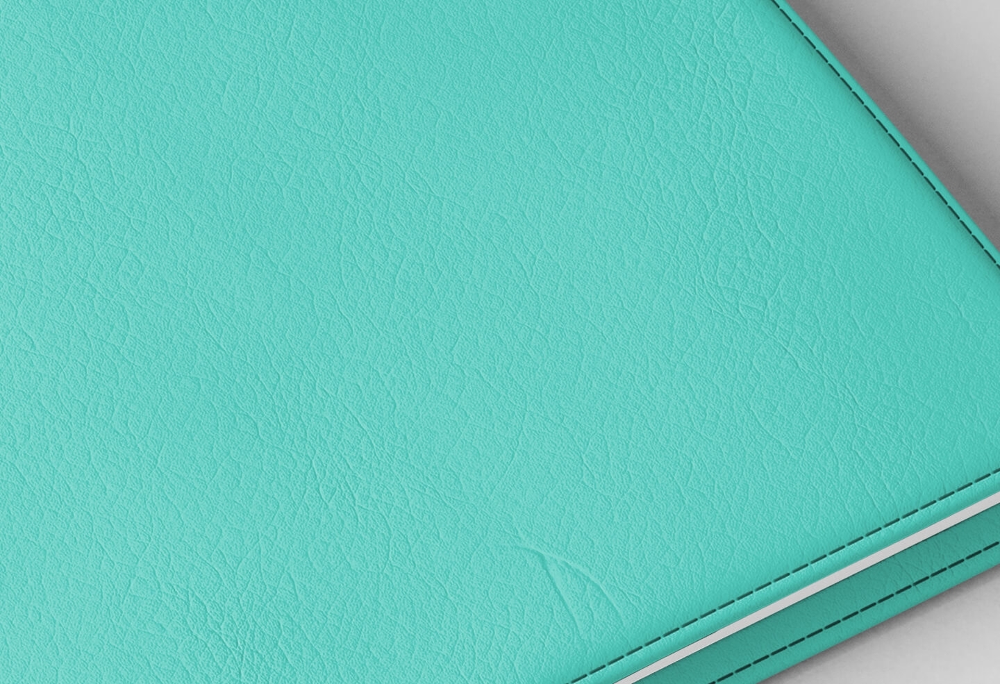 Détail texture simili cuir couverture agenda infirmière vert aqua 2027