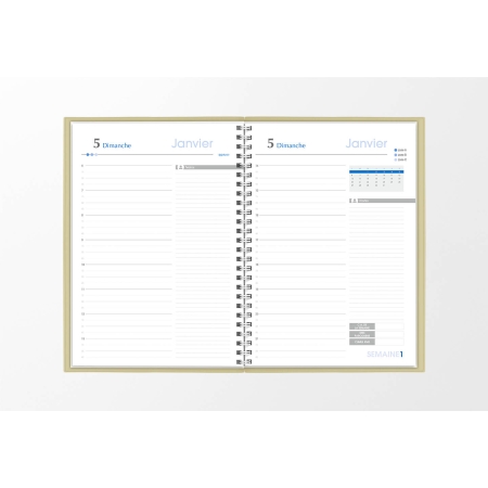 Agenda infirmière journalier beige