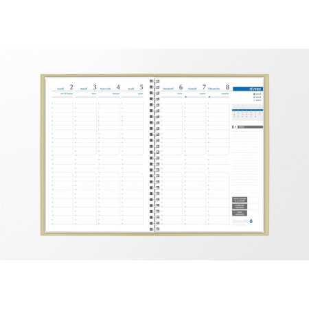 Pages intérieures agenda semainier infirmière gris souris 1 semaine sur 2 pages — grille horaire IDEL