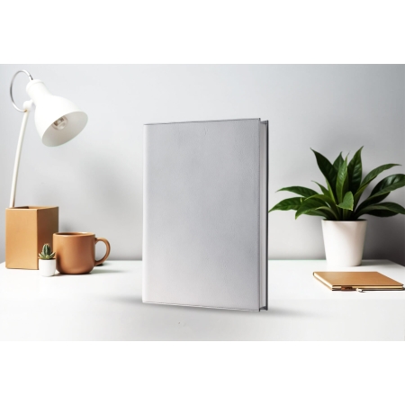 Agenda infirmière journalier argent