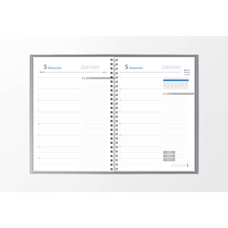 Agenda infirmière journalier argent