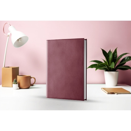 Agenda journalier infirmière libérale rouge bordeaux 2027 — présentation couverture