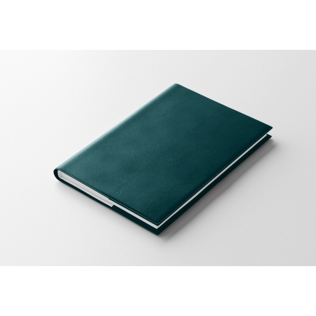 Agenda infirmière journalier vert pétrole