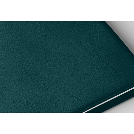 Agenda infirmière journalier vert pétrole