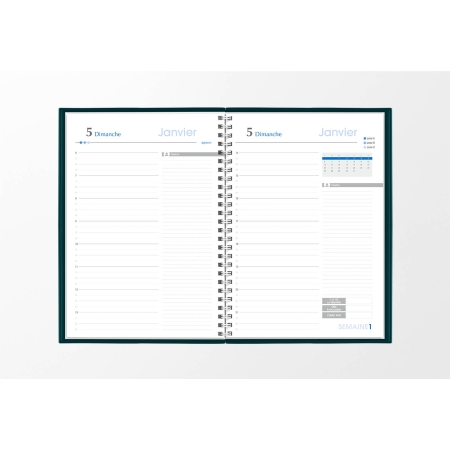 Agenda infirmière journalier vert pétrole