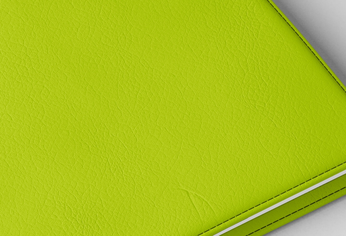 Détail texture simili cuir couverture agenda infirmière vert pomme 2027