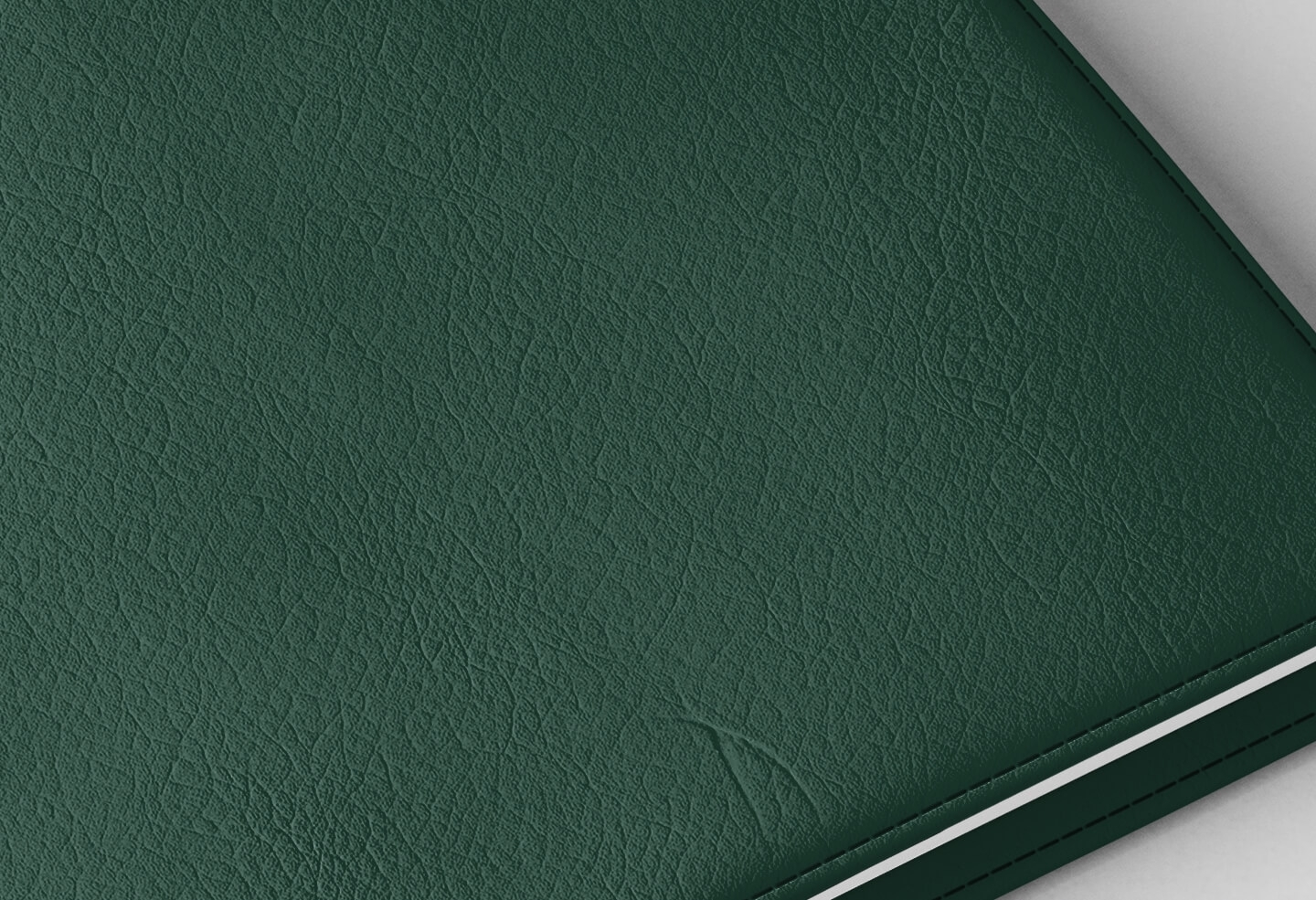 Détail texture simili cuir couverture agenda infirmière vert sapin 2027
