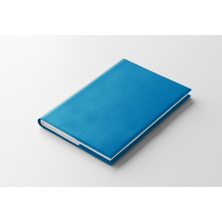 Agenda infirmière journalier bleu azur