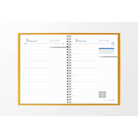 Agenda infirmière journalier or