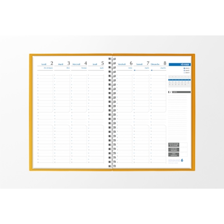 Agenda infirmière semainier or