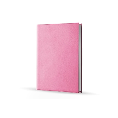 Agenda infirmière semainier rose flamingo