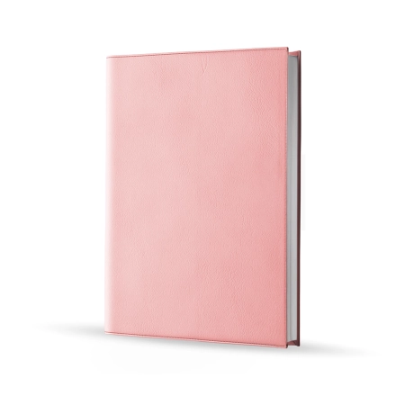Agenda infirmière journalier rose pastel 2027 — vue de face couverture simili cuir