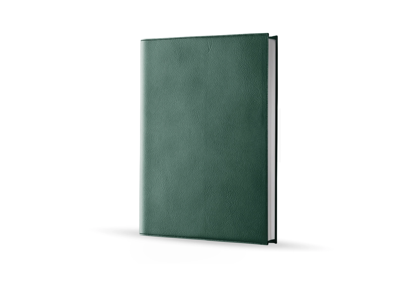 Agenda infirmière journalier vert sapin 2027 — vue de face couverture simili cuir