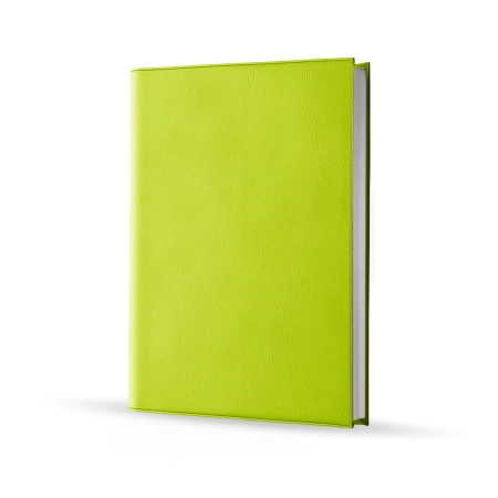 Agenda infirmière journalier vert pomme