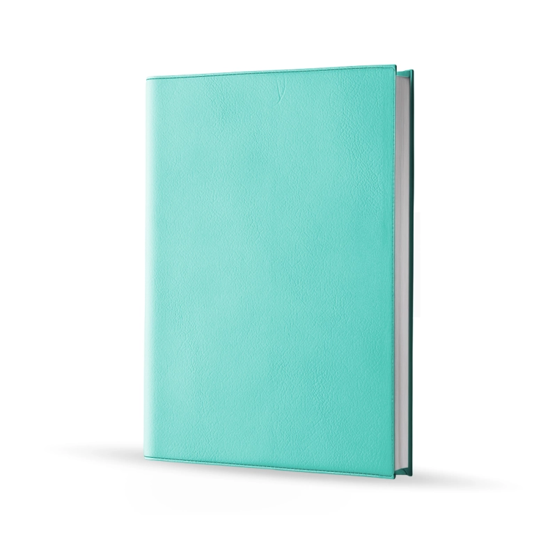 Agenda infirmière journalier vert d'eau 2027 — vue de face couverture simili cuir
