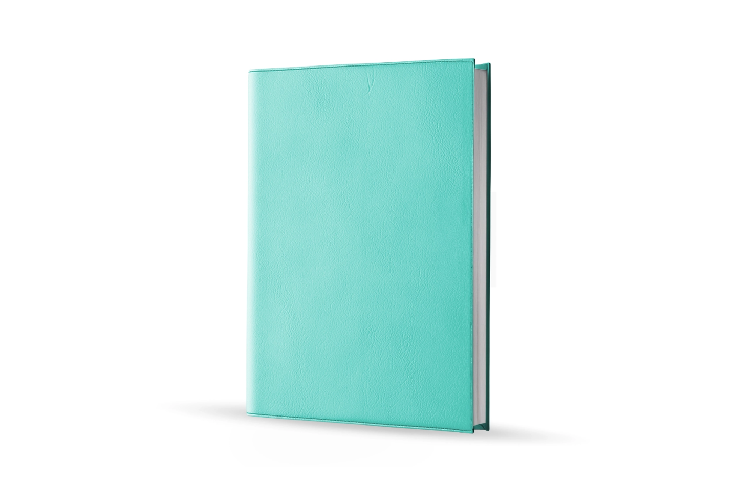 Agenda infirmière journalier vert d'eau 2027 — vue de face couverture simili cuir