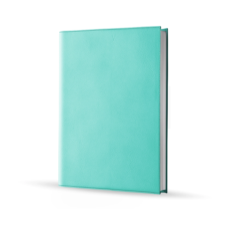Agenda infirmière journalier vert d'eau 2027 — vue de face couverture simili cuir