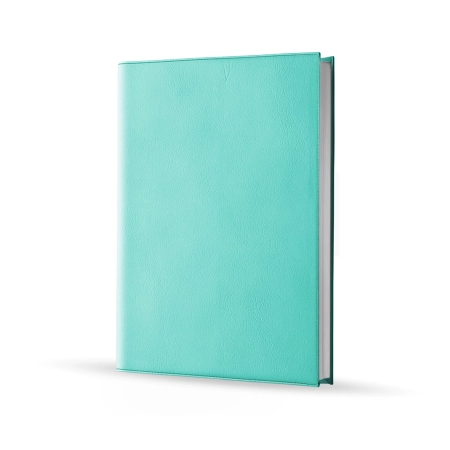 Agenda infirmière journalier vert d'eau 2027 — vue de face couverture simili cuir