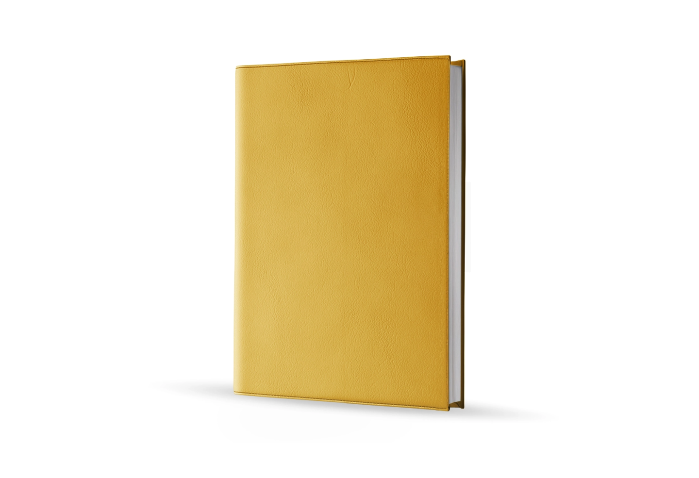 Agenda infirmière journalier or 2027 — vue de face couverture simili cuir