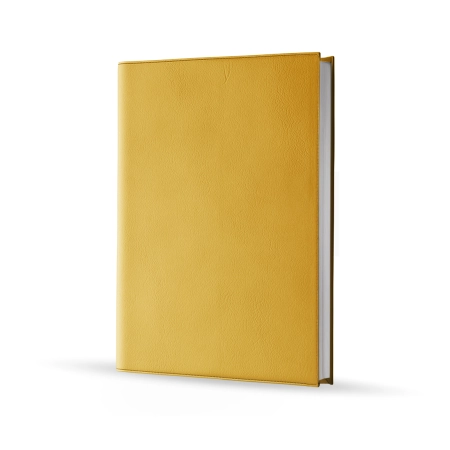 Agenda infirmière journalier or 2027 — vue de face couverture simili cuir