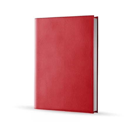 Agenda infirmière journalier rouge marbré 2027 — vue de face couverture simili cuir