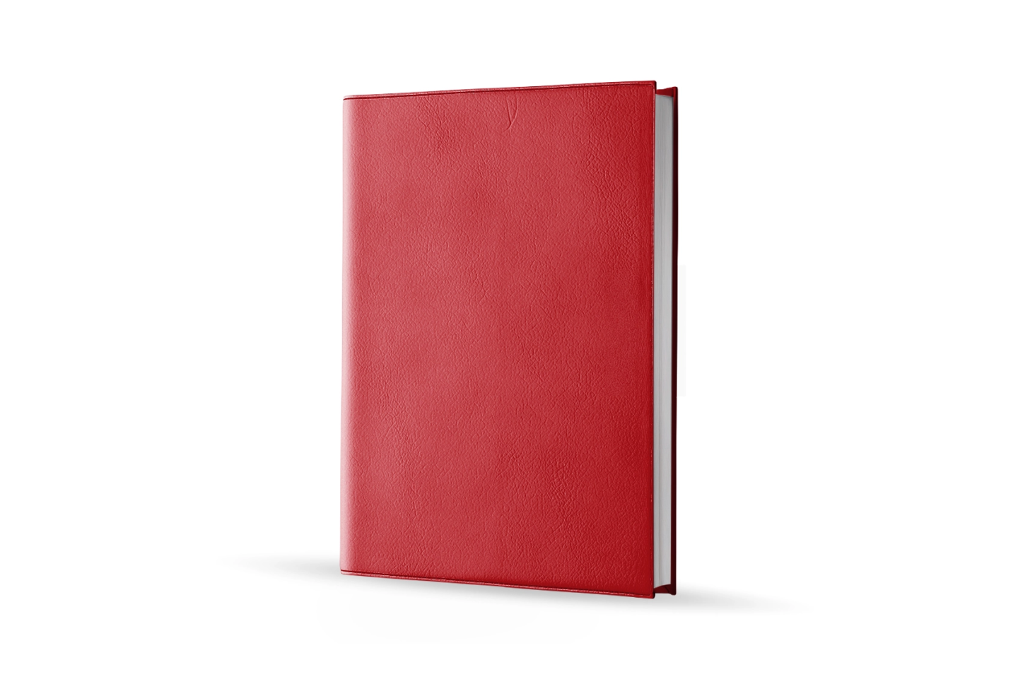 Agenda infirmière semainier rouge marbré