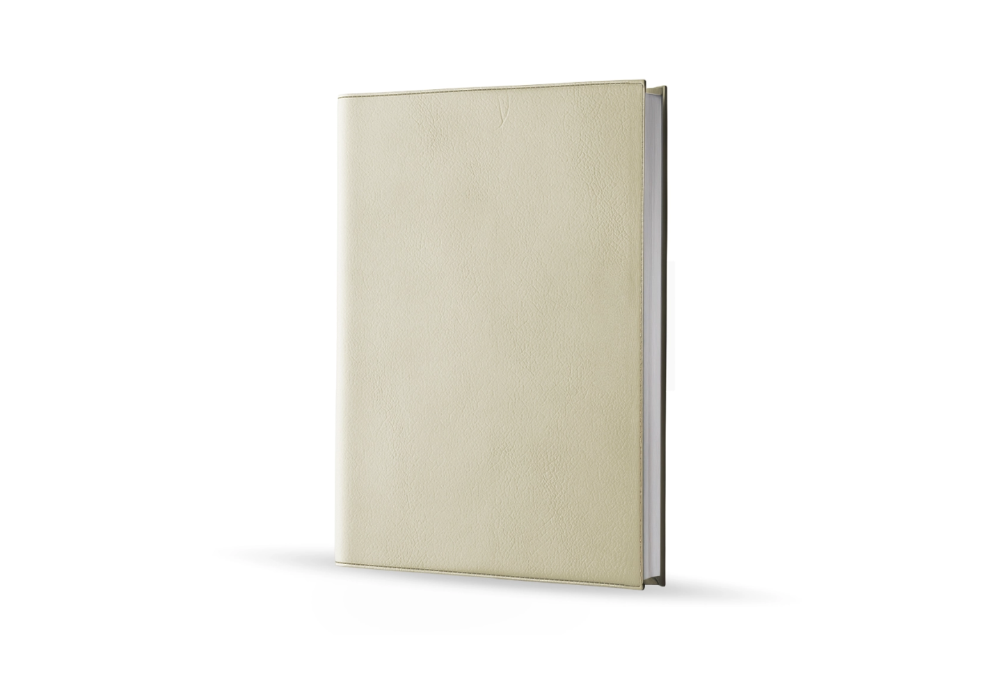 Agenda infirmière semainier beige