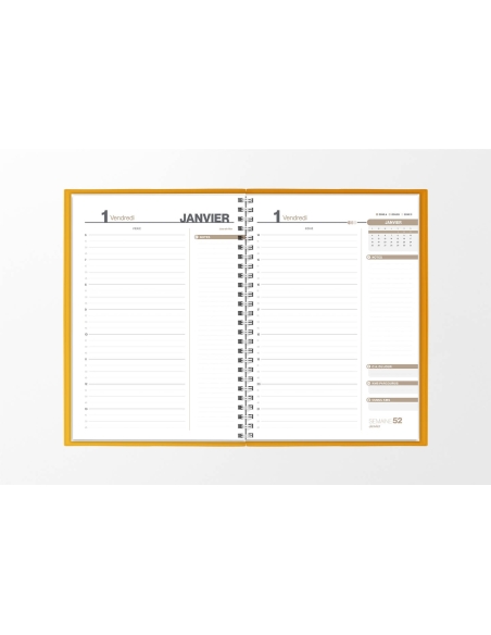 Pages intérieures agenda journalier infirmière or 1 jour sur 2 pages — grille horaire IDEL