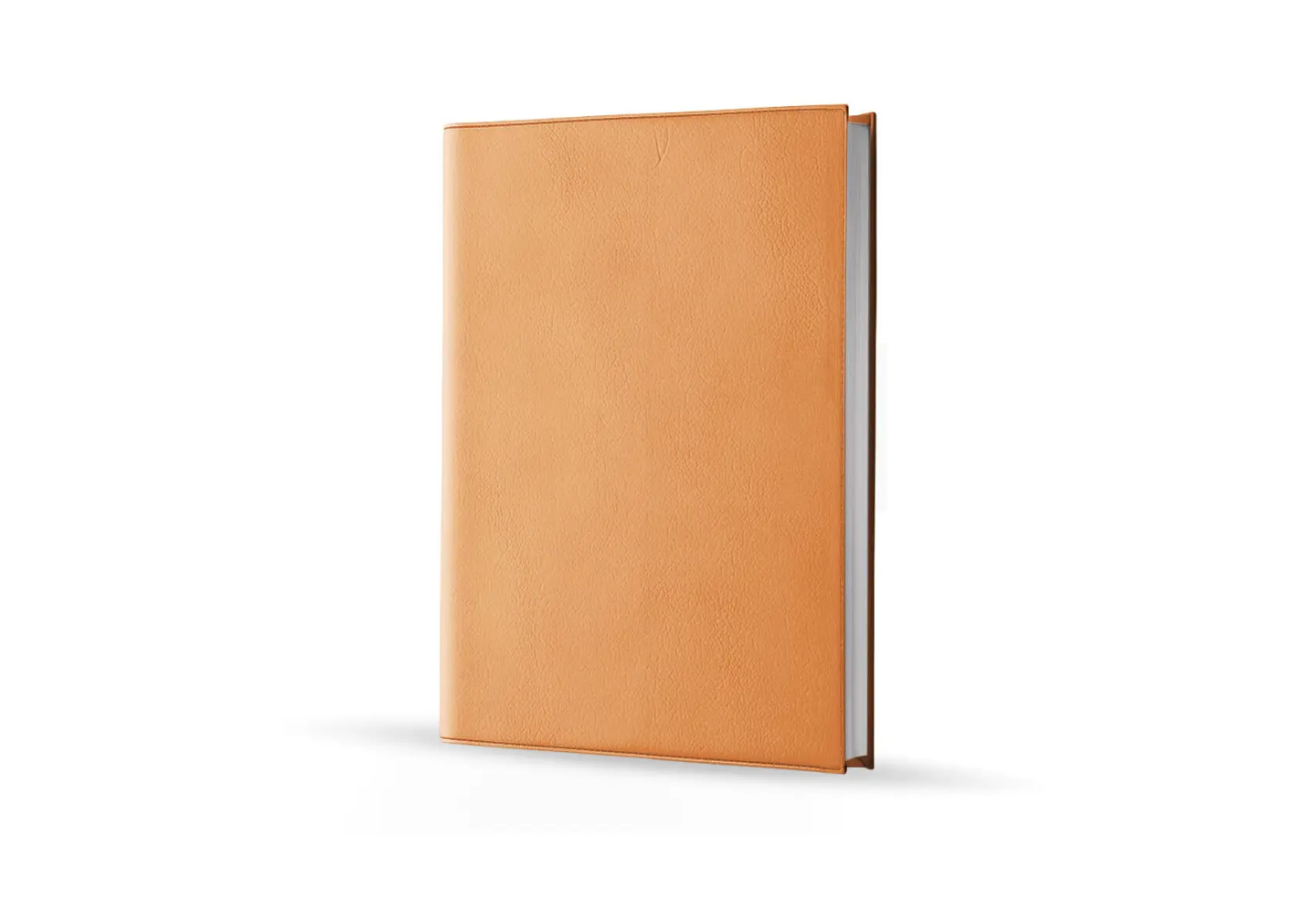 Agenda infirmière journalier pêche 2027 — vue de face couverture simili cuir