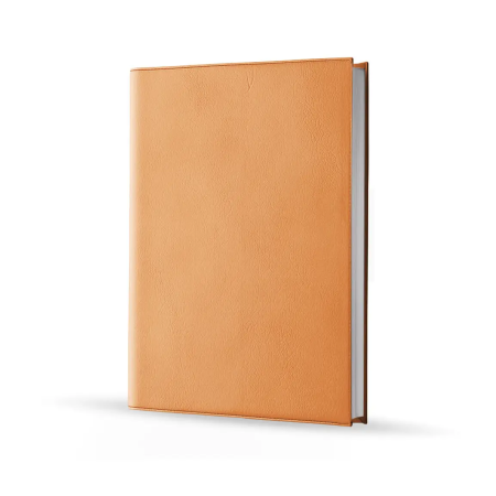 Agenda infirmière journalier pêche 2027 — vue de face couverture simili cuir