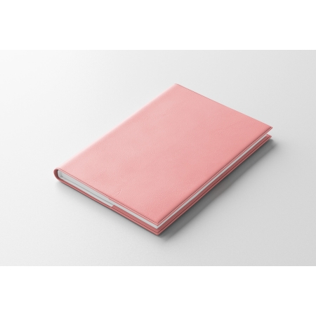 Agenda IDEL semainier rose pastel 2027 — finition WIRO métallique blanche
