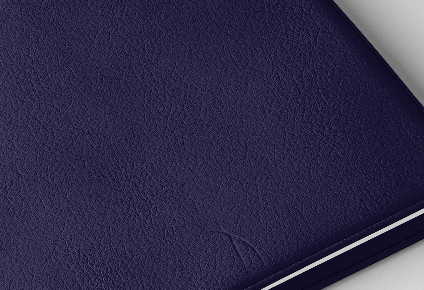 Détail texture simili cuir couverture agenda infirmière violet encre 2027
