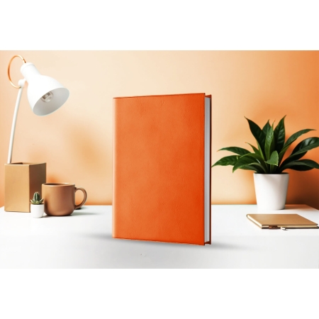 Agenda semainier infirmière libérale orange 2027 — présentation couverture
