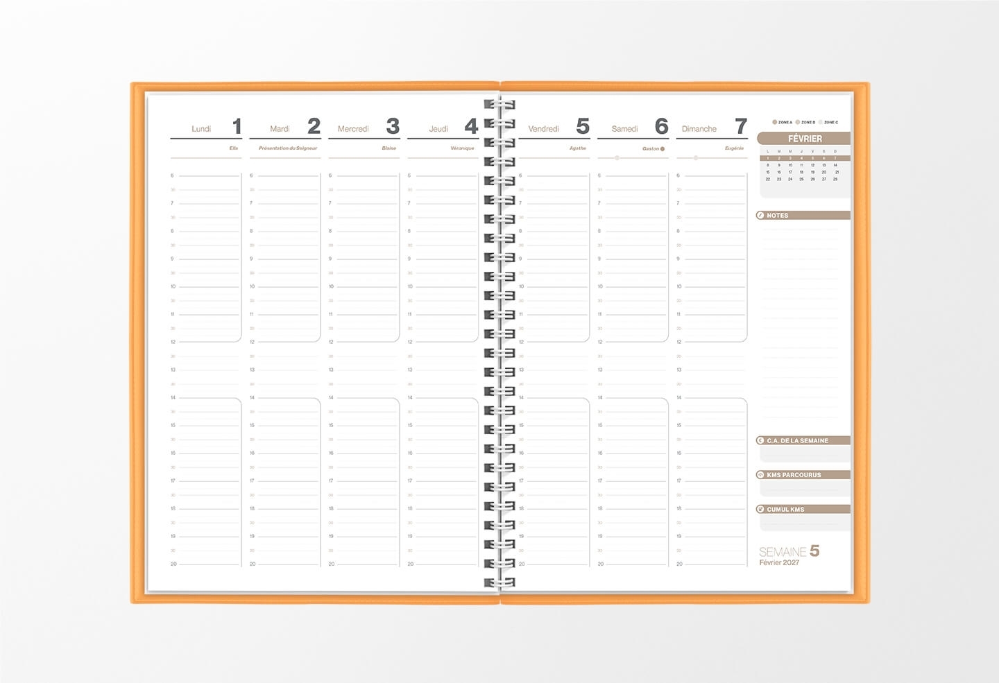 Pages intérieures agenda semainier infirmière pêche 1 semaine sur 2 pages — grille horaire IDEL