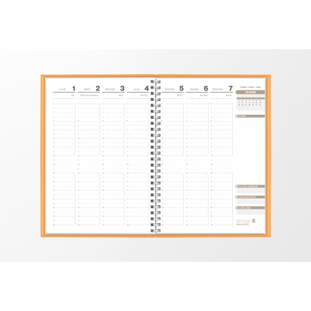 Pages intérieures agenda semainier infirmière pêche 1 semaine sur 2 pages — grille horaire IDEL