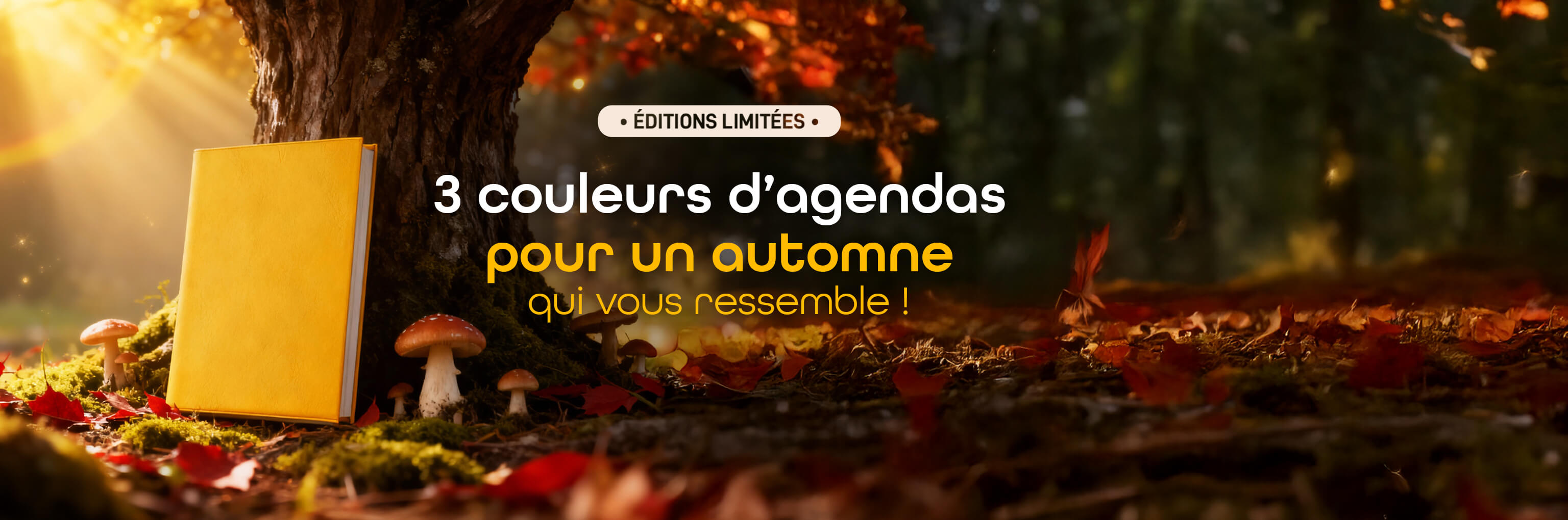 Agenda infirmière libérale 2027 — journalier et semainier disponibles, 27 coloris simili cuir