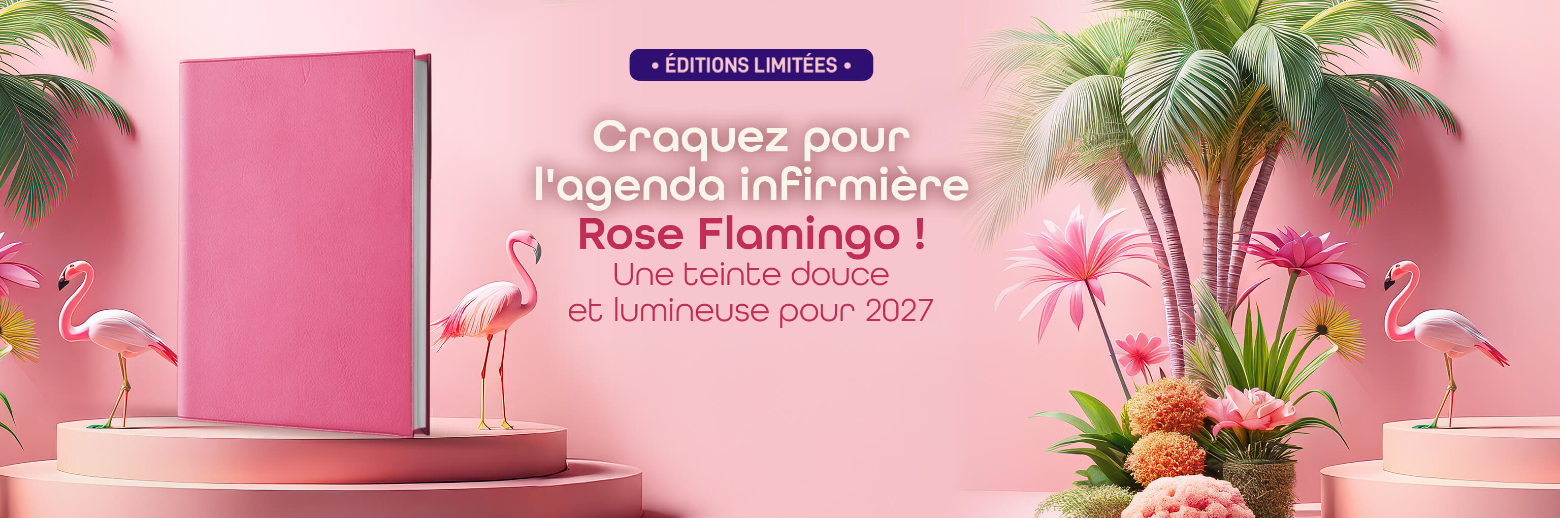Agenda infirmière libérale 2027 — journalier et semainier disponibles, 27 coloris simili cuir